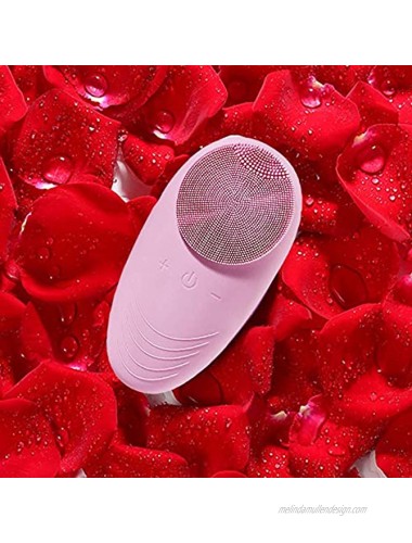 florybercea Sonic Facial Cleansing Brush Electric Face Cleansing Brush with 5 Adjustable Speeds Waterproof Rechargeable Silicone Face Brush for Deep Cleansing Gentle Exfoliating Massaging Blue