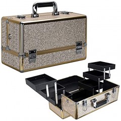 Ver Beauty Professional Makeup Organizer Heavy Duty Makeup Artist Travel Case with 6 Accordion Trays and 2 Brush Holders Champagne Glitter VP001-511