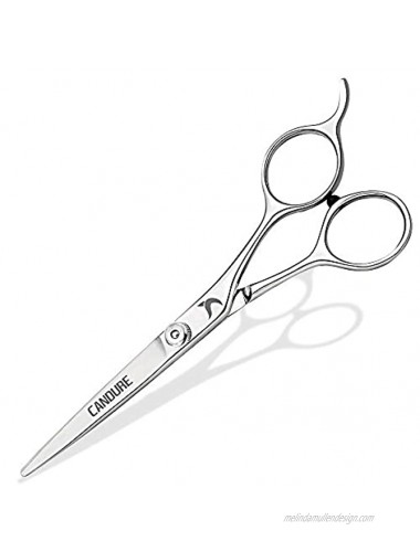 Candure Beard Mustache Scissors 5.5 Salon Facial Hair Removal Razor Edge Blades Stainless Steel